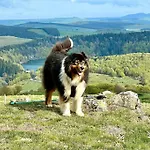 Super Chez Sophie 2ch, Sejour, Wifi, 2tv, Rdc, Terrasse, Parc, Piscine, Pkg *