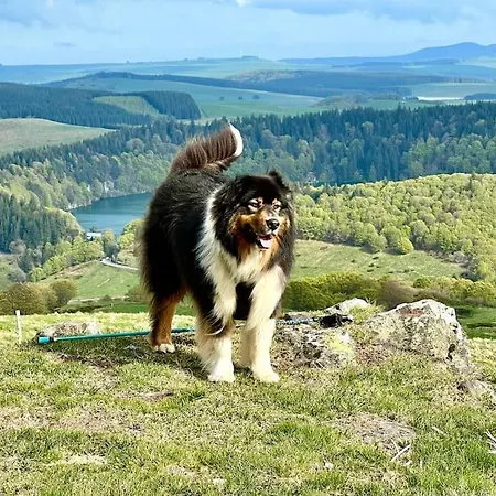 Super Chez Sophie 2ch, Sejour, Wifi, 2tv, Rdc, Terrasse, Parc, Piscine, Pkg *